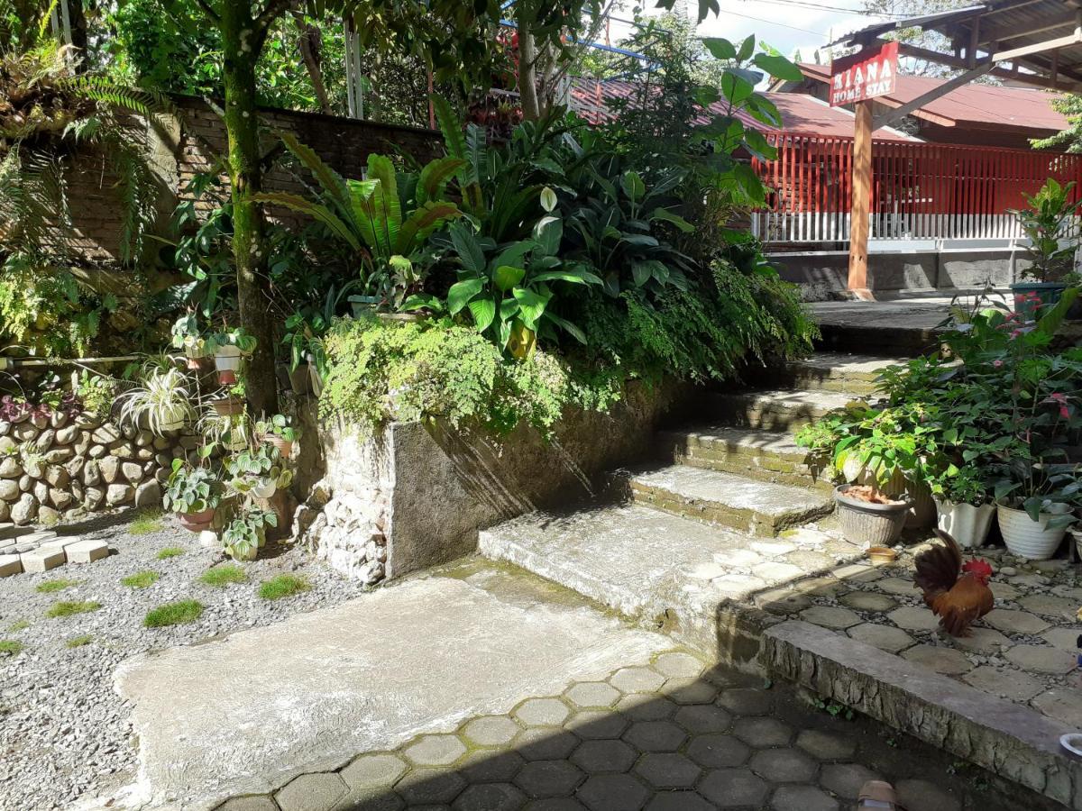 Riana'S Homestay Rantepao Exterior photo